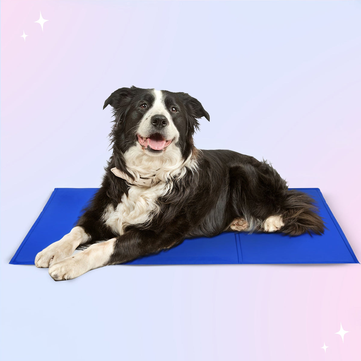 Pet Cooling Mat for All-day Cooling Comfort