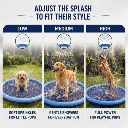 Pet Splash Pad
